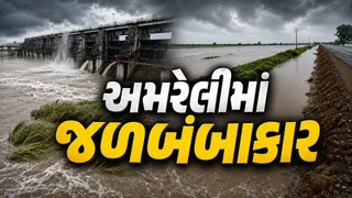 અમરેલીમાં મેઘતાંડવ: વડીયામાં 10 ઇંચ વરસાદ, પૂરમાં તણાતા 2ના મોત, ઠેબી-ધાતરવડી ડેમ ઓવરફ્લો
